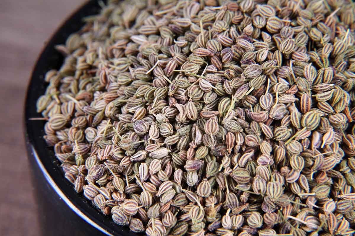 Carom Seeds